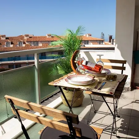 Agave Paradise Apartment Puerto de la Cruz  Extérieur photo